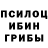 Псилоцибиновые грибы MAGIC MUSHROOMS Eugene Soroka
