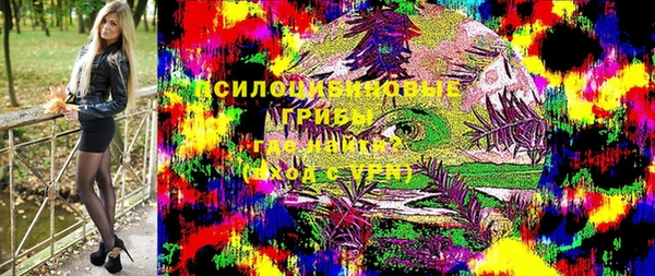 дмт Кинешма