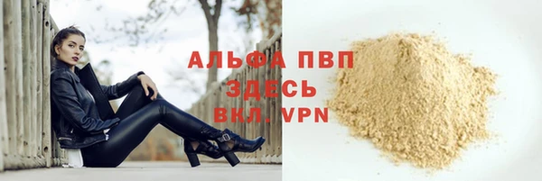 PSILOCYBIN Киренск