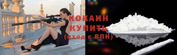 PSILOCYBIN Киренск