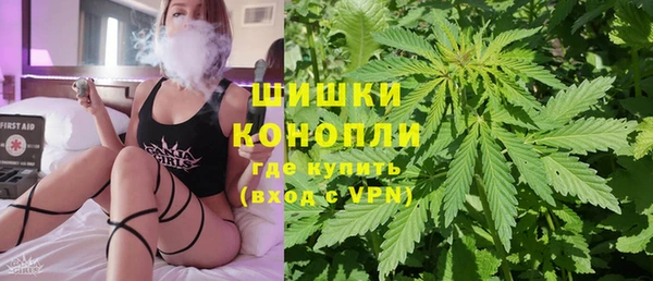 PSILOCYBIN Киренск