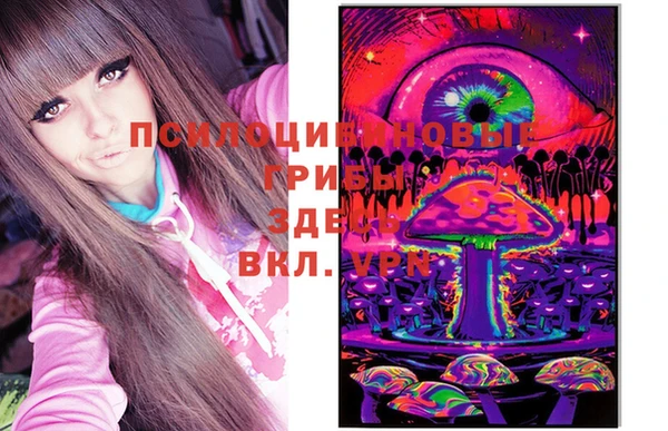 PSILOCYBIN Киренск