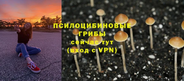 стафф Козельск