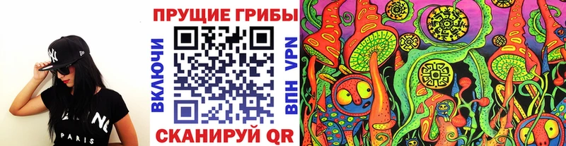 Псилоцибиновые грибы Cubensis  Купить  Городец 